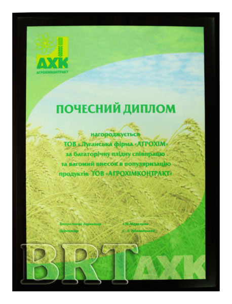 Диплом на металле Диплом на металле