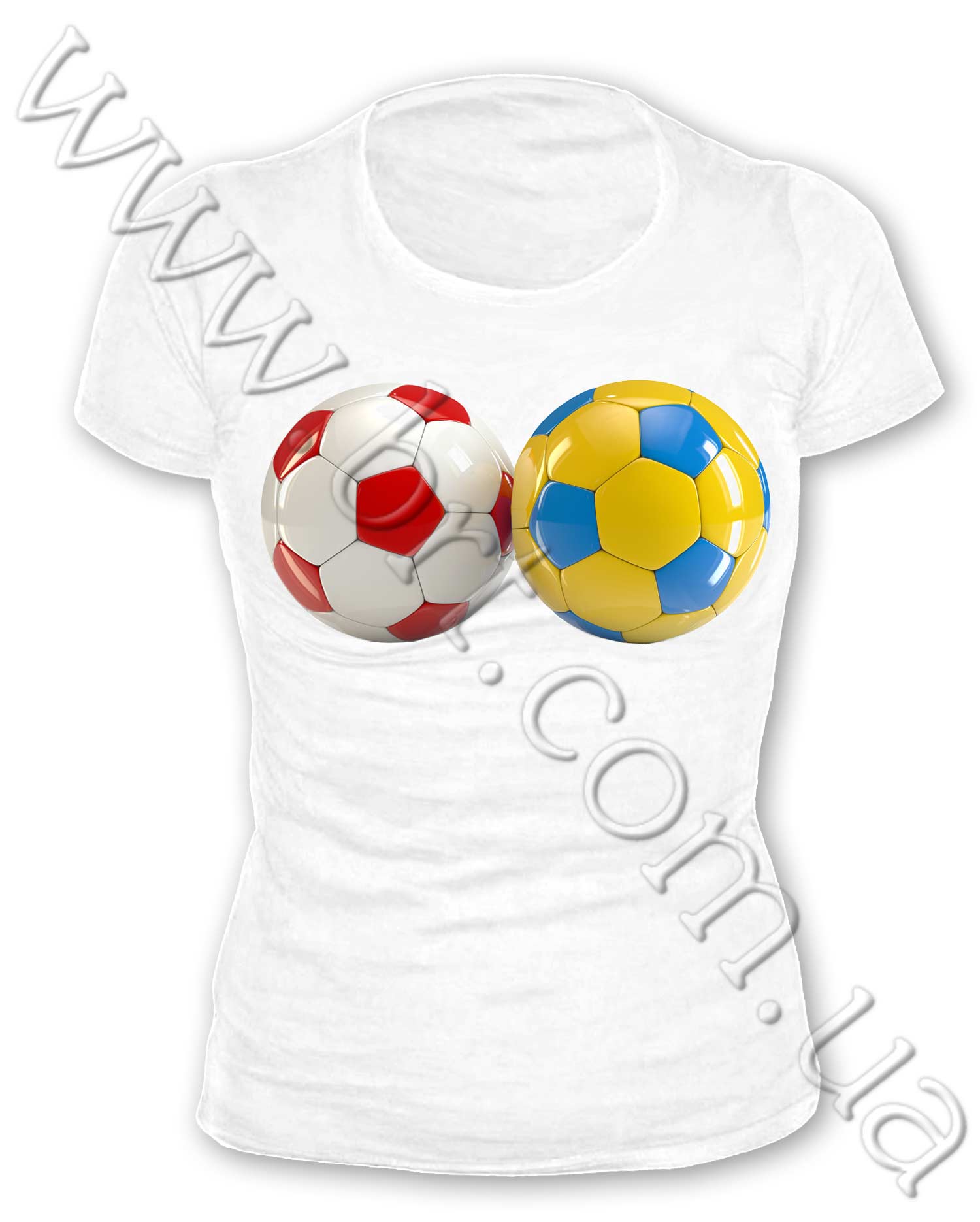 Футболки с логотипом евро 2012 заказать