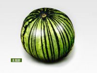 watermelon-800x600